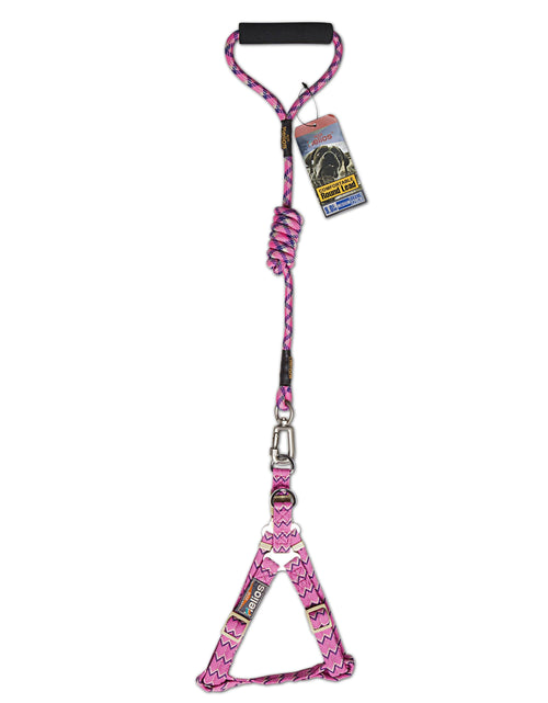 Load image into Gallery viewer, Dog Helios Surfside Designer Leash and Harness
