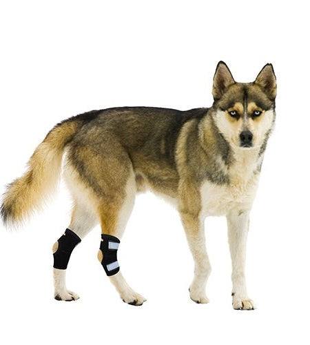 NeoAlly Rear Leg Hock Brace - Metal Spring Strips for Small Dogs [Short Version] (Pair)
