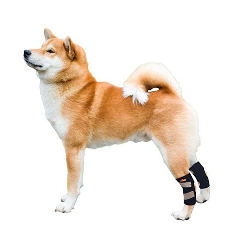 Load image into Gallery viewer, NeoAlly Dog Rear Leg Hock Brace with Safety Reflective Straps for Small Dogs [Short Version]

