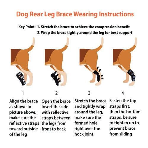 Load image into Gallery viewer, NeoAlly Dog Rear Leg Hock Brace with Safety Reflective Straps for Large Dogs [Long Version]
