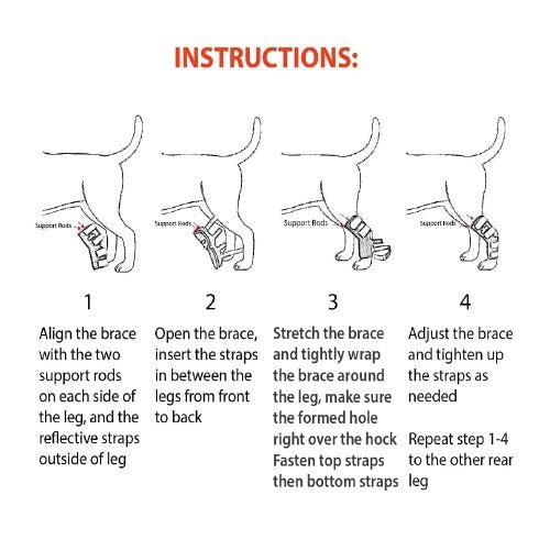 Load image into Gallery viewer, NeoAlly Dog Rear Leg Hock Brace with Metal Spring Strips for Large Dogs [Long Version] (Pair)
