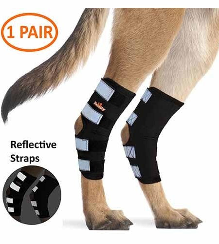 NeoAlly Dog Rear Leg Hock Brace with Safety Reflective Straps for Large Dogs [Long Version]