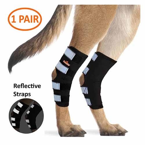 Load image into Gallery viewer, NeoAlly Dog Rear Leg Hock Brace with Safety Reflective Straps for Large Dogs [Long Version]
