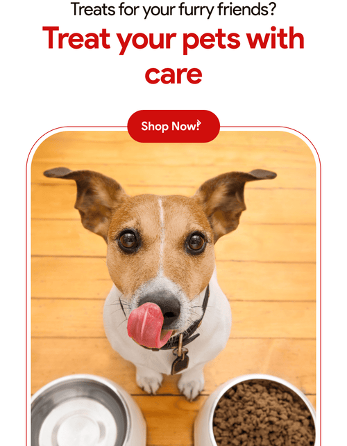 Load image into Gallery viewer, Party Bag Treat Blend 1lb - Homemade Dog Treats

