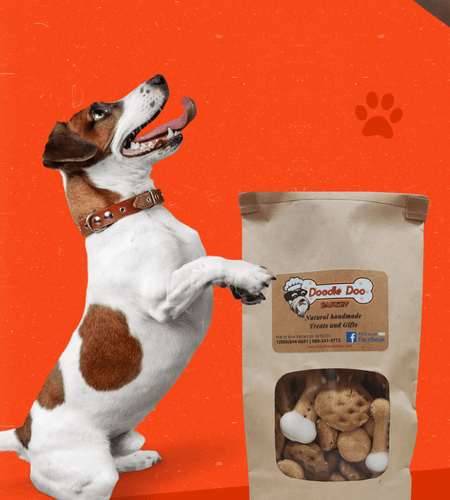Party Bag Treat Blend 1lb - Homemade Dog Treats