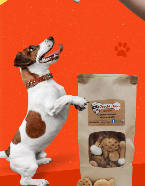 Load image into Gallery viewer, Party Bag Treat Blend 1lb - Homemade Dog Treats
