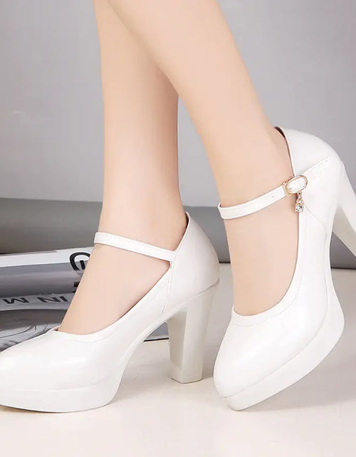 Load image into Gallery viewer, Pointed Toe Chunky Heels for Women
