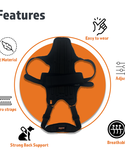 Load image into Gallery viewer, NeoAlly Dog Back Brace for Dogs with Inserts for Extra Support
