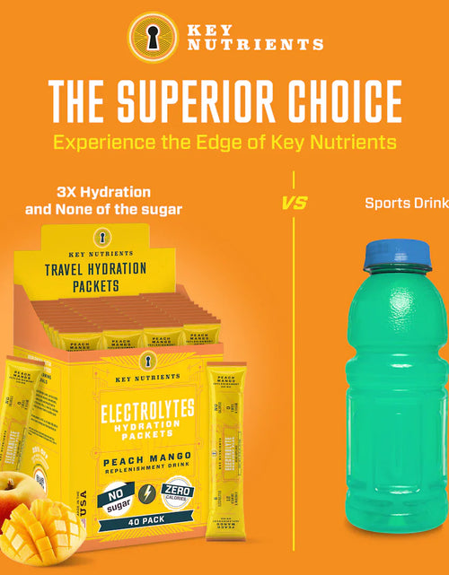 Load image into Gallery viewer, Electrolyte Recovery Plus Powder (Sugar-Free)
