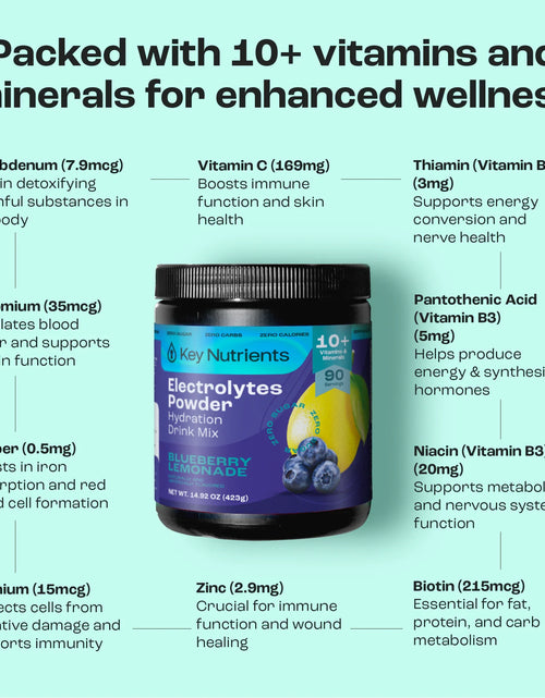 Load image into Gallery viewer, Electrolyte Recovery Plus Powder (Sugar-Free)
