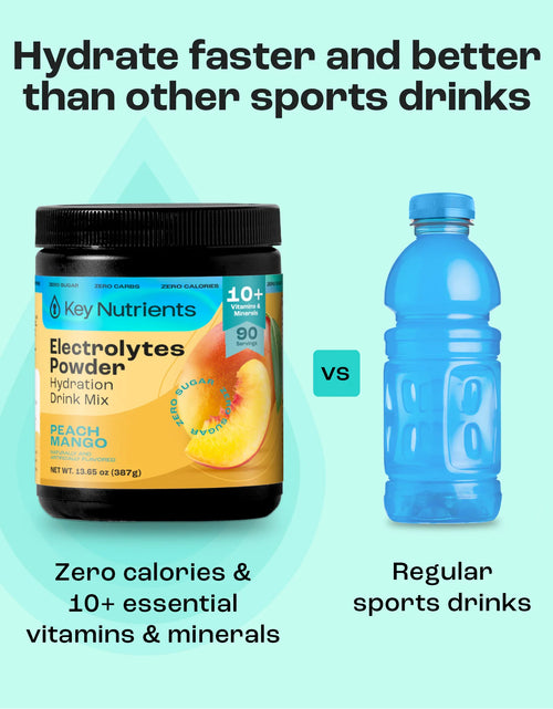 Load image into Gallery viewer, Electrolyte Recovery Plus Powder (Sugar-Free)

