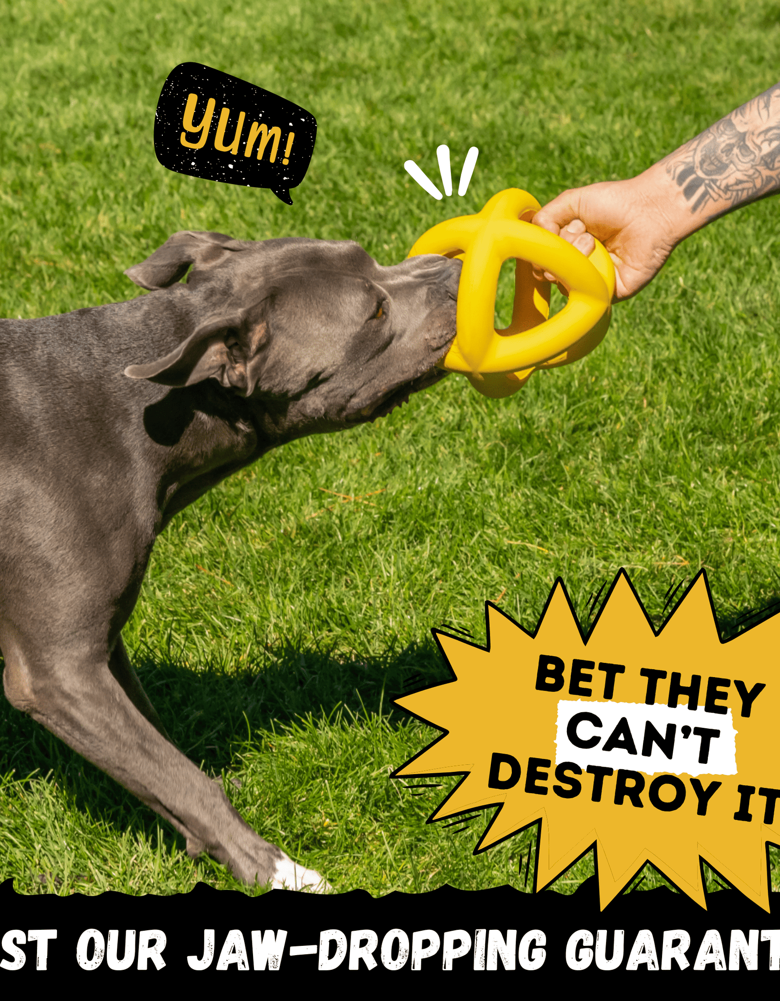 Giant Halo Ball™