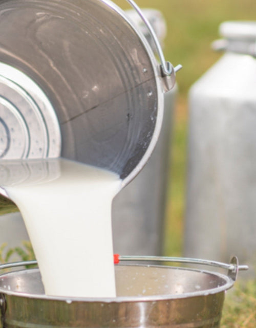 Load image into Gallery viewer, Farmhouse Artisan Goat Milk &amp; Tallow Soap Collection
