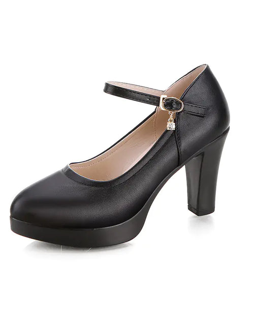 Load image into Gallery viewer, Pointed Toe Chunky Heels for Women
