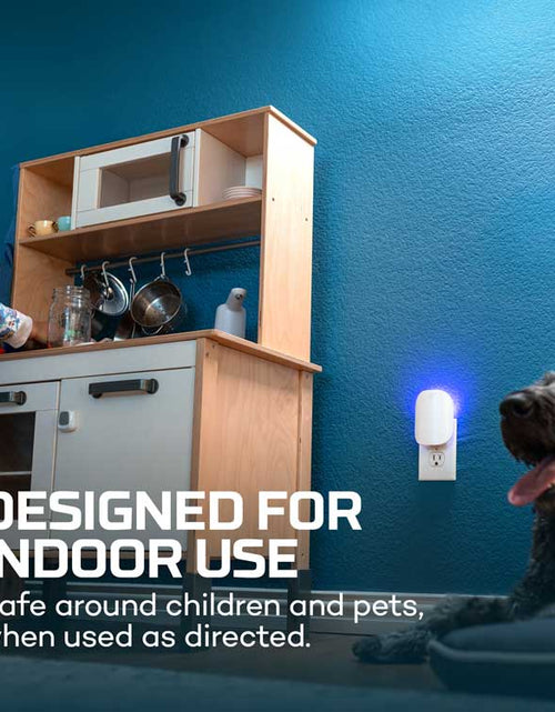 Load image into Gallery viewer, Indoor Flying Insect Trap Starter Kit
