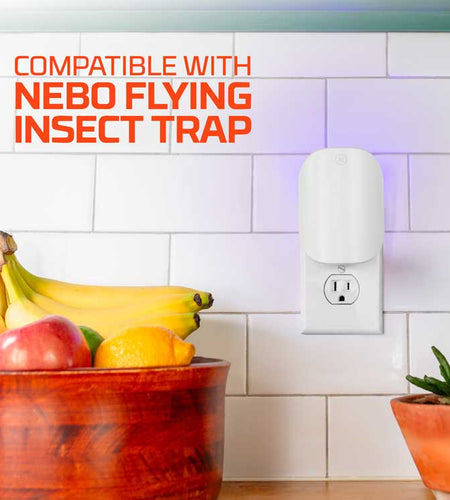Indoor Flying Insect Trap Starter Kit
