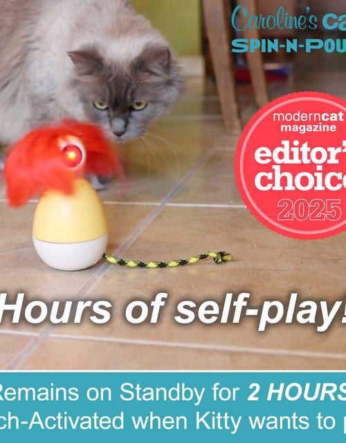 Load image into Gallery viewer, Caroline's Cats Spin-N-Pounce Rechargeable Automatic Interactive Indoor Dancing Cat Toy; Touch Sensor &amp; Auto Shut Off, 360° Rotation, Silent Motor, LED Light, Simulates Prey for Hunting &amp; Exercise
