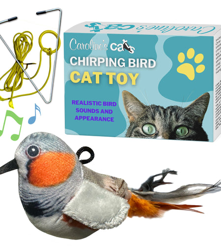 Caroline's Cats Plush Chirping Bird Cat Toy on Elastic String with Doorway Hanger - No Flimsy Suction Cups; Real Electronic Avian Sounds