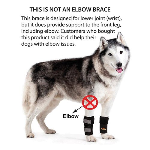Load image into Gallery viewer, NeoAlly Dog Front Leg Braces: Enhance Safety with Reflective Straps (Pair)

