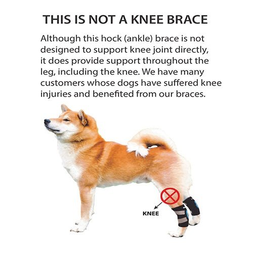 Load image into Gallery viewer, NeoAlly Dog Rear Leg Hock Brace with Safety Reflective Straps for Small Dogs [Short Version]
