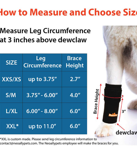 NeoAlly 3-in-1 Front Leg Dog Splint Brace: Rigid & Spring Inserts, Safety Reflective Straps (Pair)