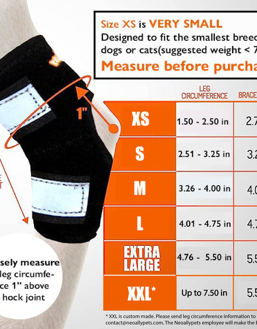 Load image into Gallery viewer, NeoAlly Dog Rear Leg Hock Brace with Safety Reflective Straps for Small Dogs [Short Version]
