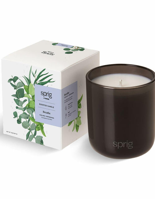 Load image into Gallery viewer, Sprig by Kohler Breathe Aromatherapy Candle with Eucalyptus and Mint -8 oz
