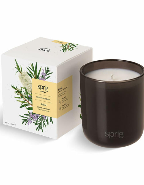 Load image into Gallery viewer, Sprig by Kohler Shield Aromatherapy Candle with Tea Tree and Rosemary - 8 oz

