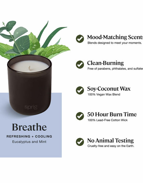Load image into Gallery viewer, Sprig by Kohler Breathe Aromatherapy Candle with Eucalyptus and Mint -8 oz
