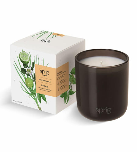 Sprig by Kohler Recharge Aromatherapy Candle with Bergamot and Lemongrass - 8 oz