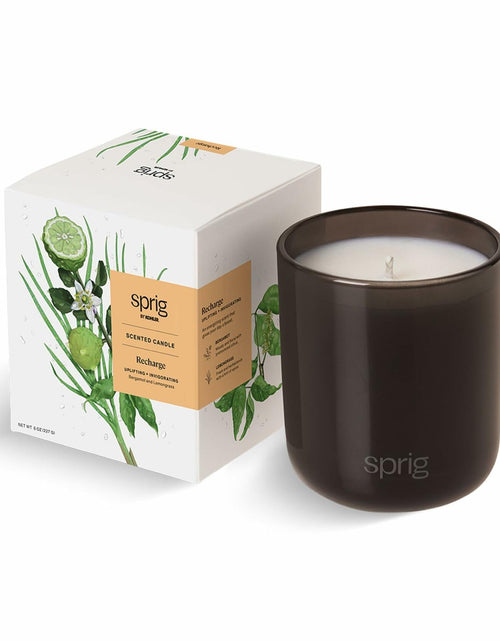 Load image into Gallery viewer, Sprig by Kohler Recharge Aromatherapy Candle with Bergamot and Lemongrass - 8 oz
