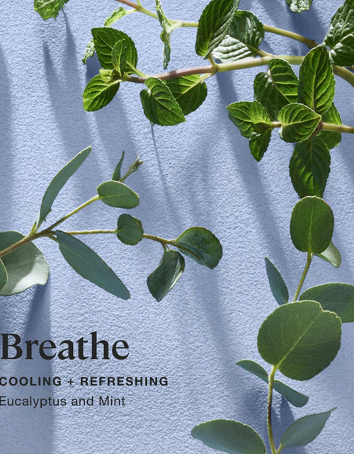 Load image into Gallery viewer, Sprig by Kohler Breathe Aromatherapy Candle with Eucalyptus and Mint -8 oz
