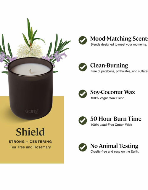 Load image into Gallery viewer, Sprig by Kohler Shield Aromatherapy Candle with Tea Tree and Rosemary - 8 oz
