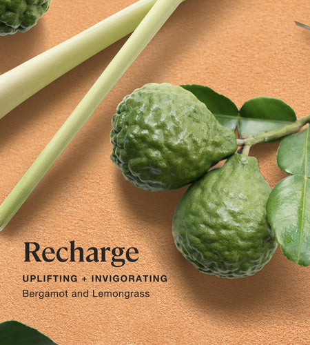 Sprig by Kohler Recharge Aromatherapy Candle with Bergamot and Lemongrass - 8 oz