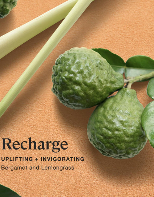 Load image into Gallery viewer, Sprig by Kohler Recharge Aromatherapy Candle with Bergamot and Lemongrass - 8 oz
