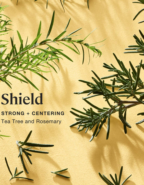 Load image into Gallery viewer, Sprig by Kohler Shield Aromatherapy Candle with Tea Tree and Rosemary - 8 oz
