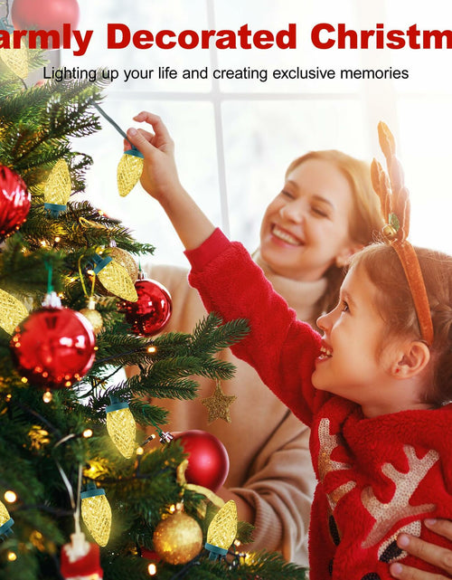 Load image into Gallery viewer, C9 LED Christmas Lights Outdoor 50 LED 32FT Warm White Plug-in Strand
