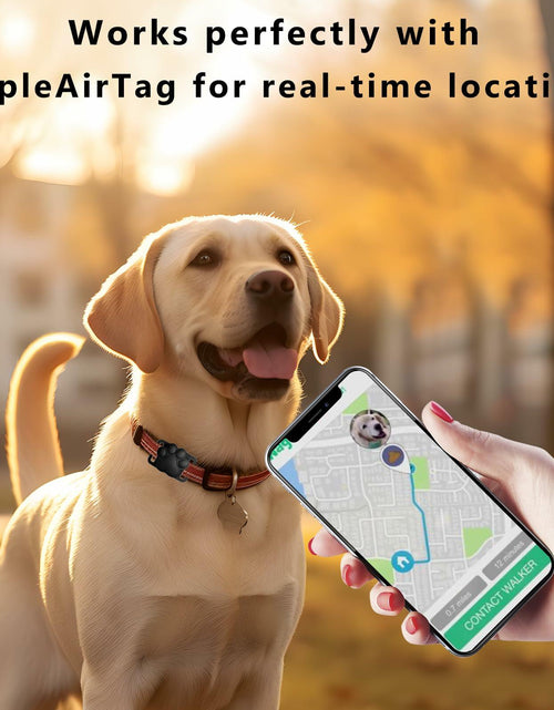 Load image into Gallery viewer, Airtag Dog Collar Holder Waterproof Case for Apple AirTag Pink
