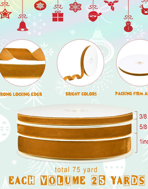Load image into Gallery viewer, Yilloog 3 Rolls Christmas Velvet Ribbon 75 Yards 3/8 5/8 1 Inch Khaki Satin
