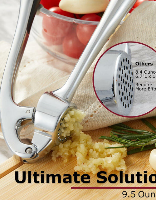 Load image into Gallery viewer, Kitessensu Garlic Press Set with Silicone Peeler &amp; Brush, Gloss Silver
