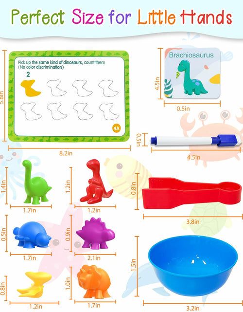 Load image into Gallery viewer, Yetonamr Montessori Counting Dinosaurs Educational Toy Set for Kids
