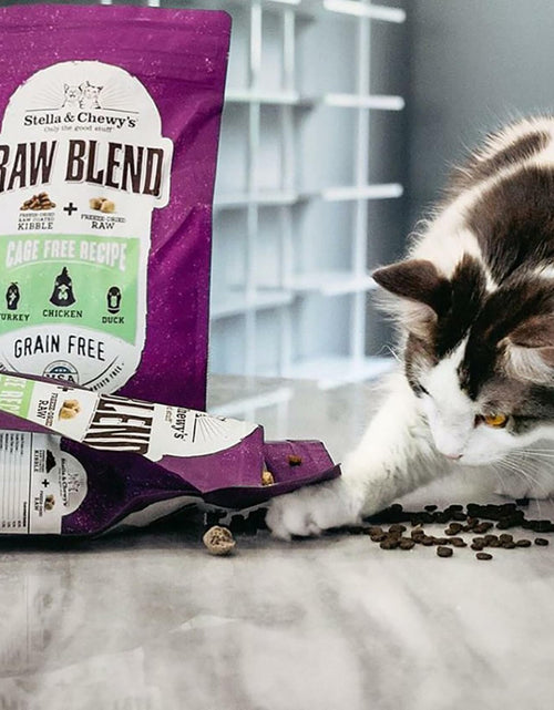 Load image into Gallery viewer, BB01/25 Stella &amp; Chewy's Raw Blend Cat Food 2.5 lb Grain Free Protein Rich Poultry
