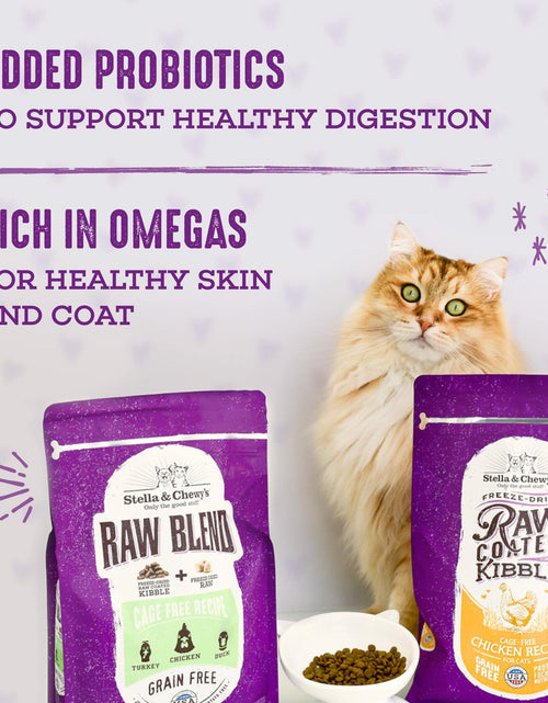 Load image into Gallery viewer, BB01/25 Stella &amp; Chewy's Raw Blend Cat Food 2.5 lb Grain Free Protein Rich Poultry
