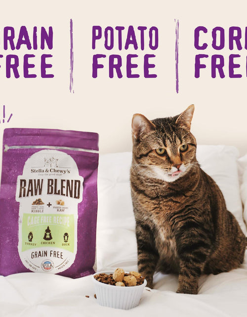 Load image into Gallery viewer, BB01/25 Stella &amp; Chewy's Raw Blend Cat Food 2.5 lb Grain Free Protein Rich Poultry
