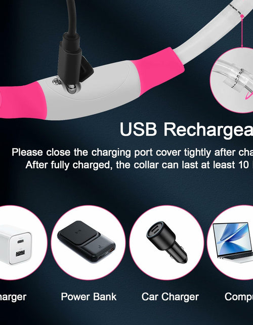 Load image into Gallery viewer, Flycoco LED Rechargeable Dog Collar Light Pink USB Adjustable Safety
