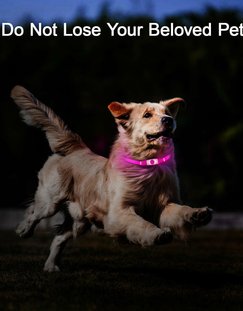 Load image into Gallery viewer, Flycoco LED Rechargeable Dog Collar Light Pink USB Adjustable Safety
