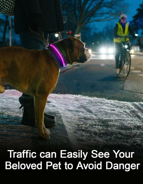 Load image into Gallery viewer, Flycoco LED Rechargeable Dog Collar Light Pink USB Adjustable Safety
