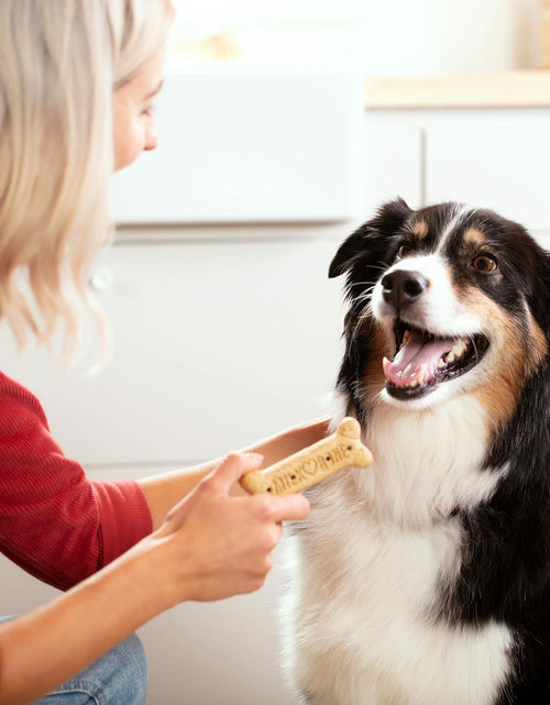 Load image into Gallery viewer, BestBy03/26 Milk-Bone Original Dog Treats 24oz Large Dogs Crunchy Biscuits
