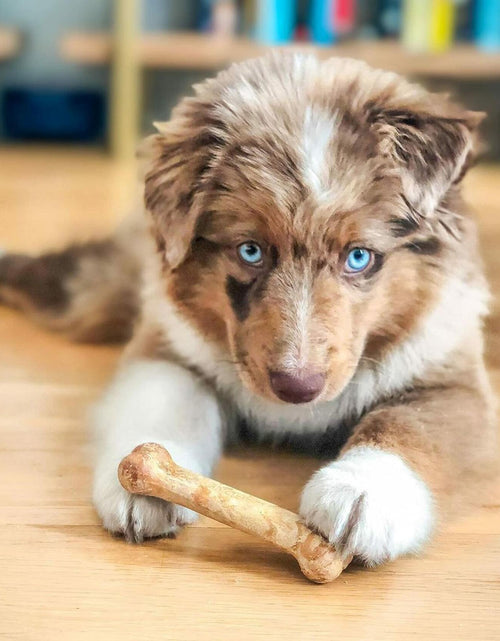 Load image into Gallery viewer, BestBy07/27 Nylabone Healthy Edibles Puppy Chews X-Small 3 Count Roast Beef
