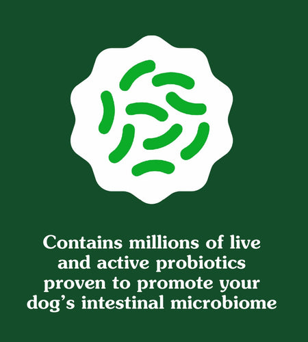 BestBy01/25 Greenies Digestive Health Probiotics DogTreats Chicken 7.8oz 40ct